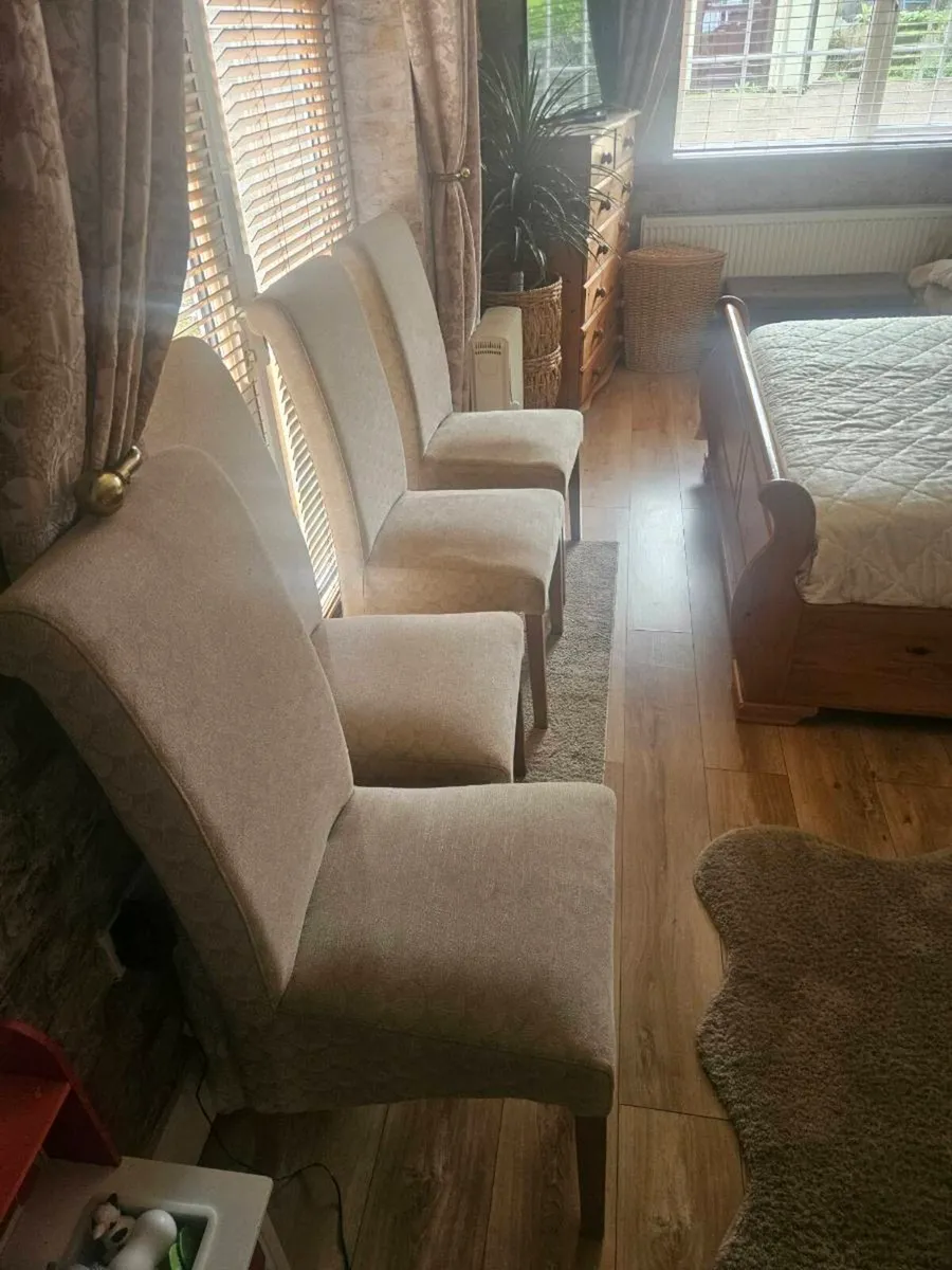 Dining/kitchen chairs - Image 1