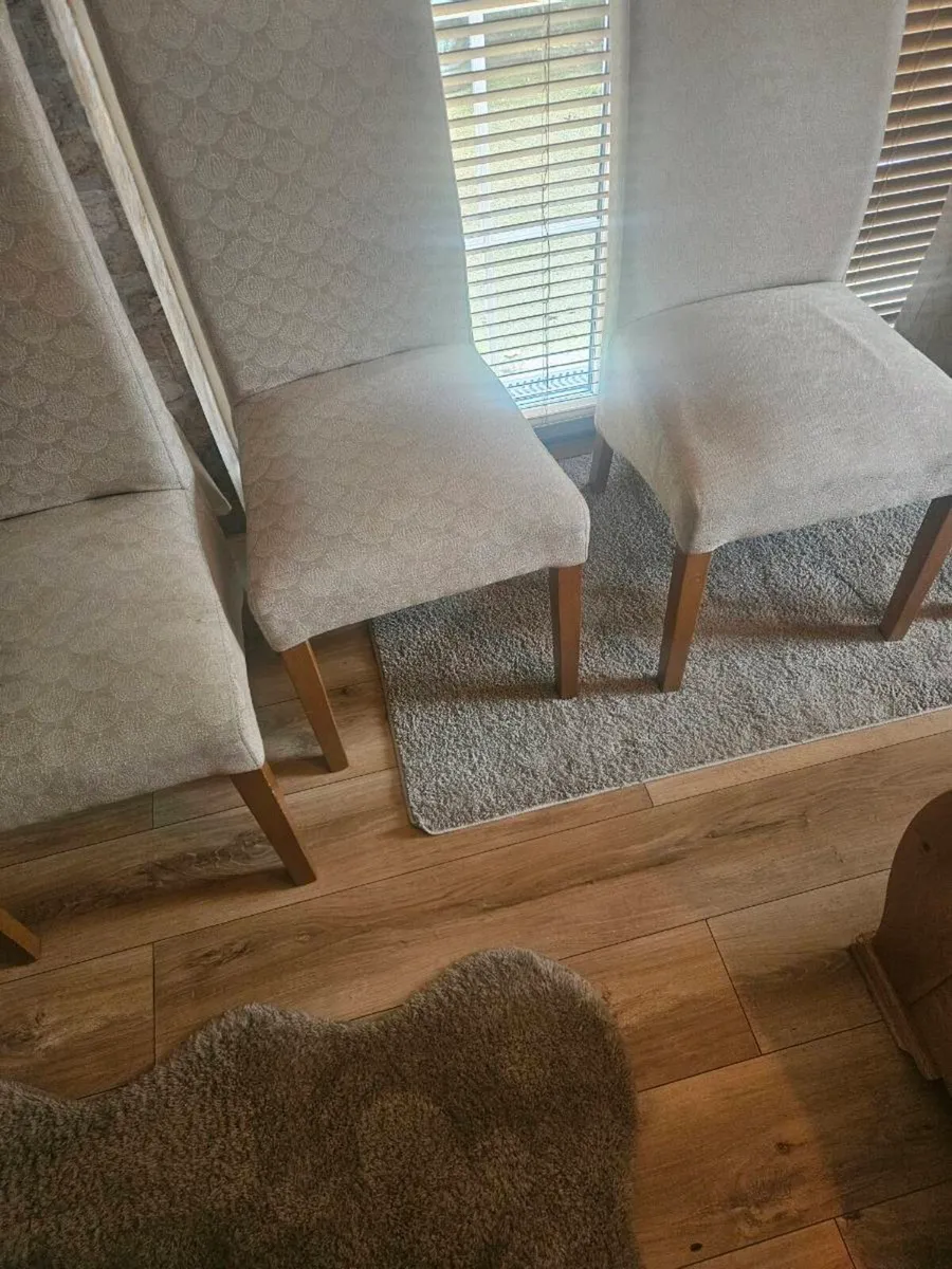 Dining/kitchen chairs - Image 3
