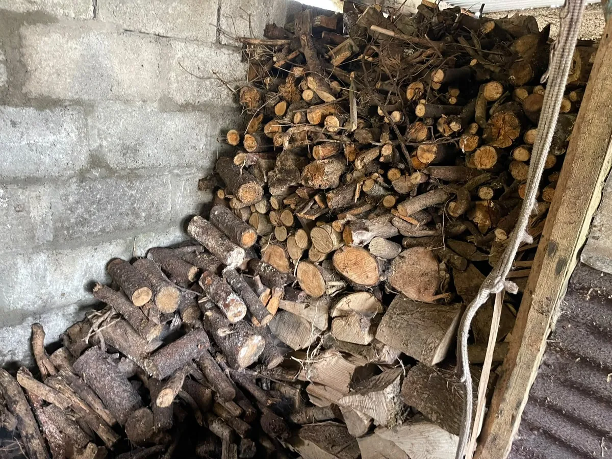 Fire wood - Image 2