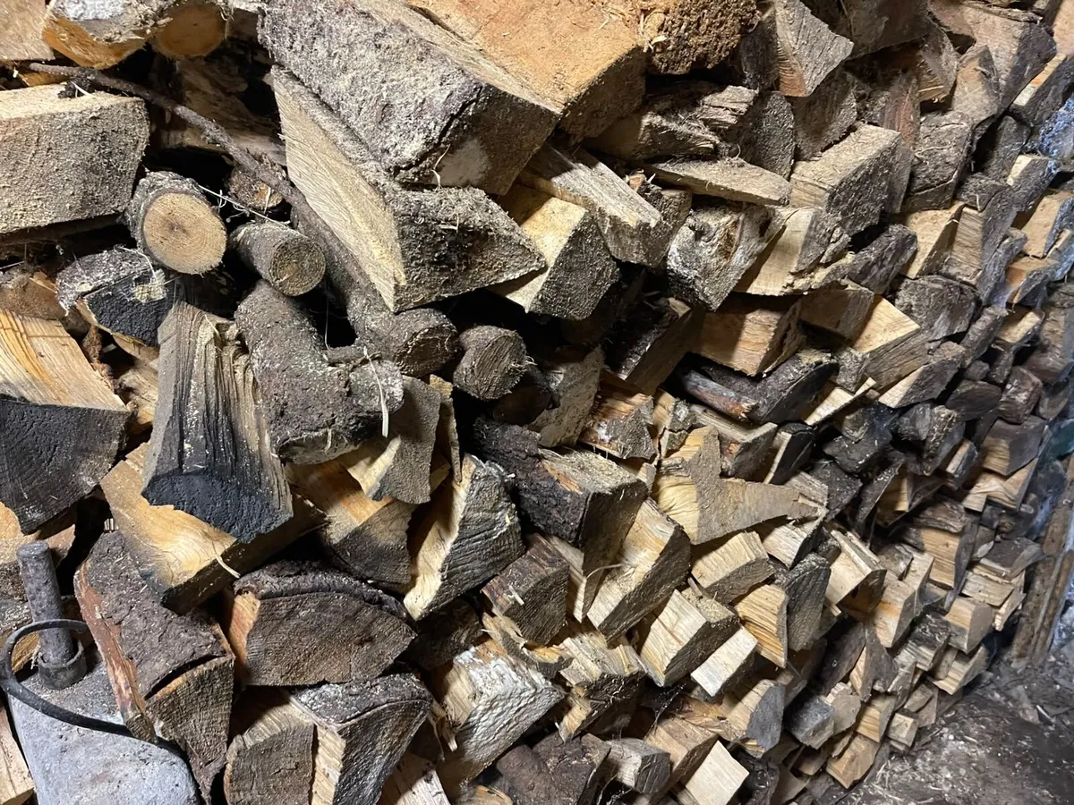 Fire wood - Image 3