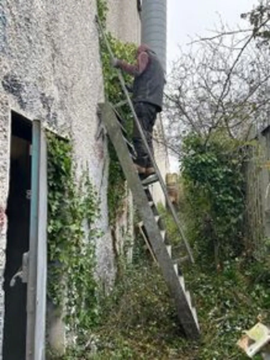 External Ladder - Galvanised Steel