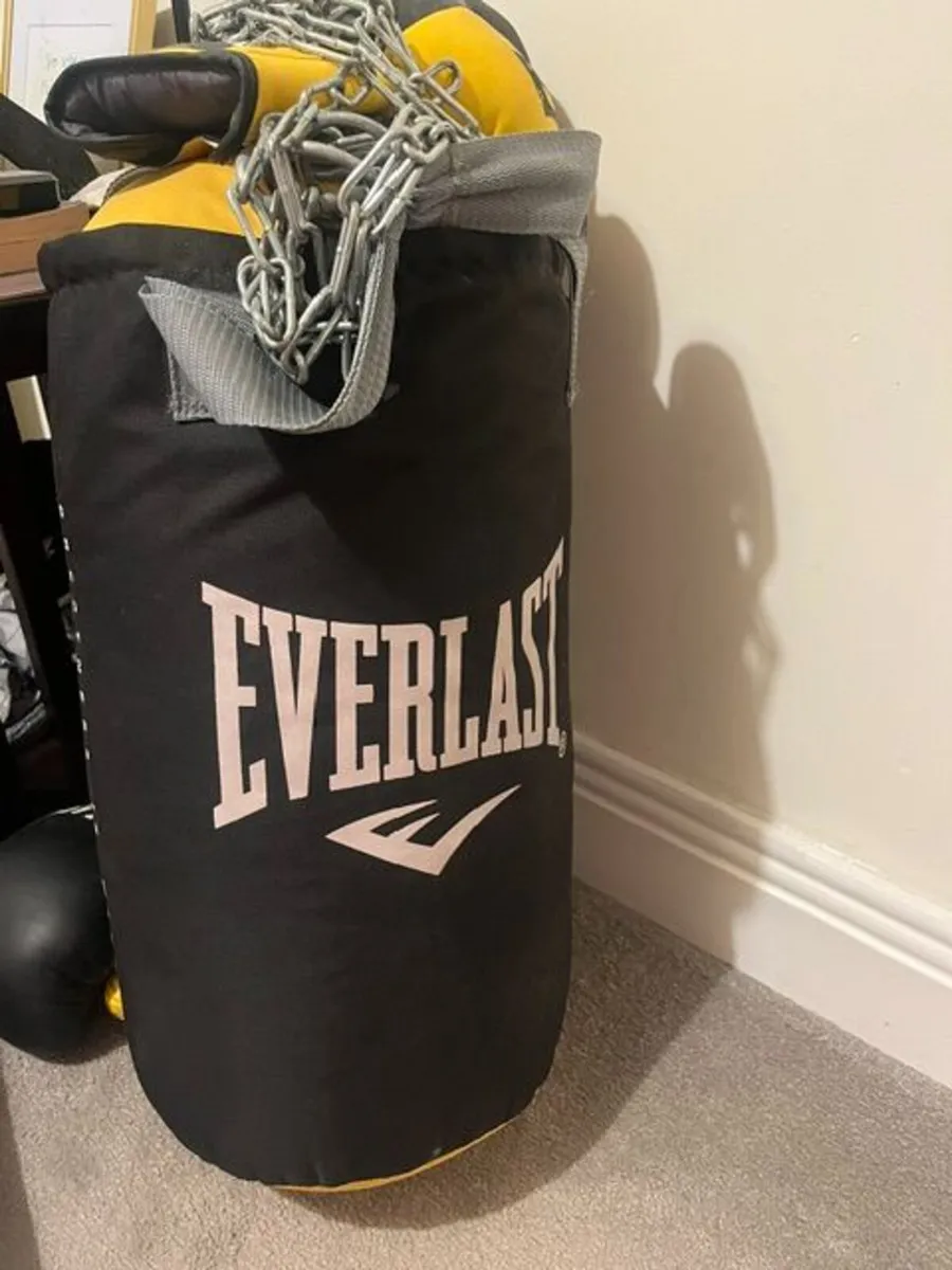 Boxing bag and gloves - Image 1