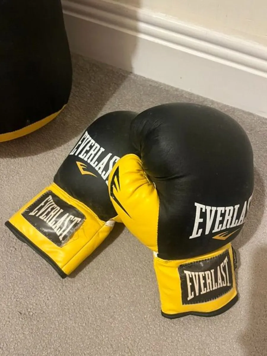Boxing bag and gloves - Image 2