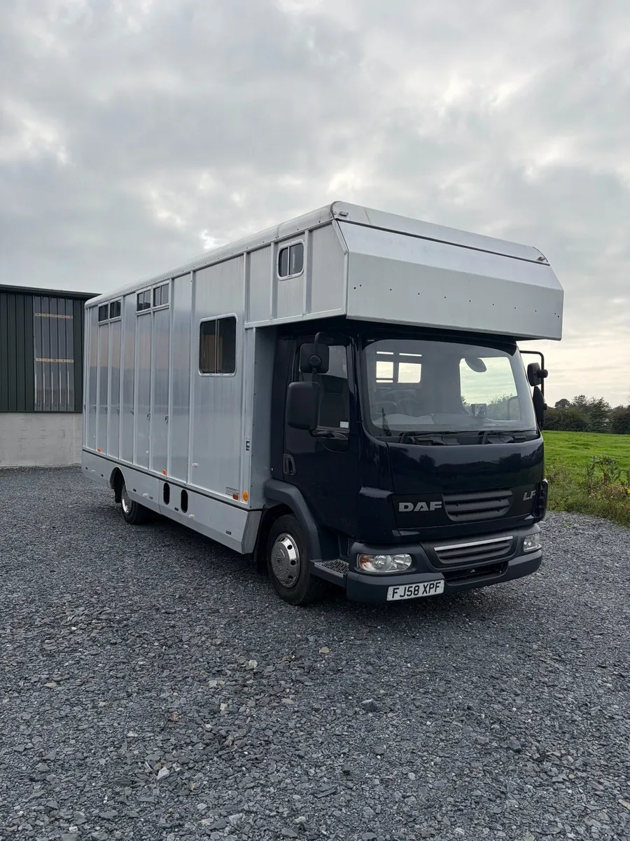 2008 Daf Horsebox - Image 1