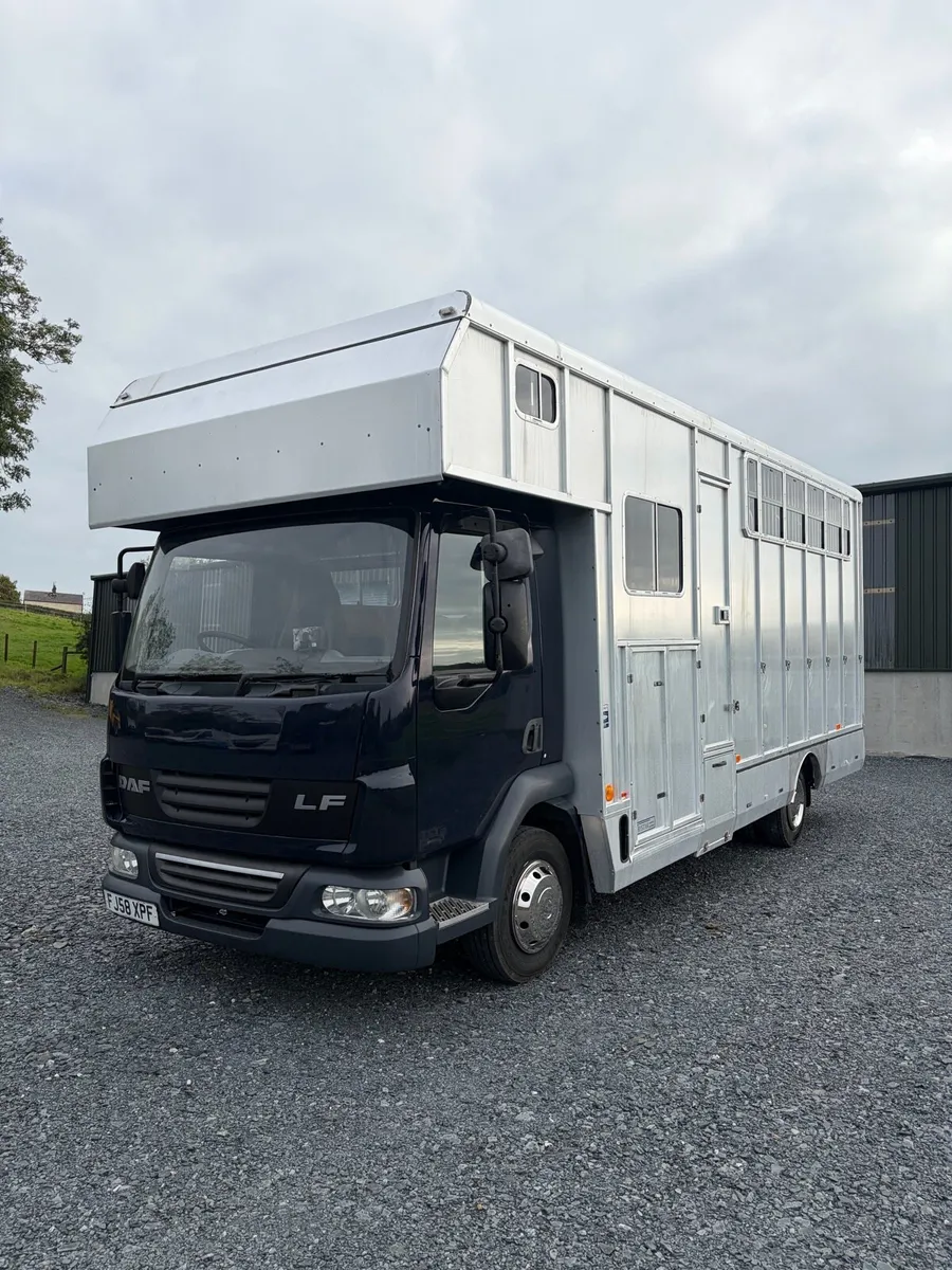 2008 Daf Horsebox - Image 3