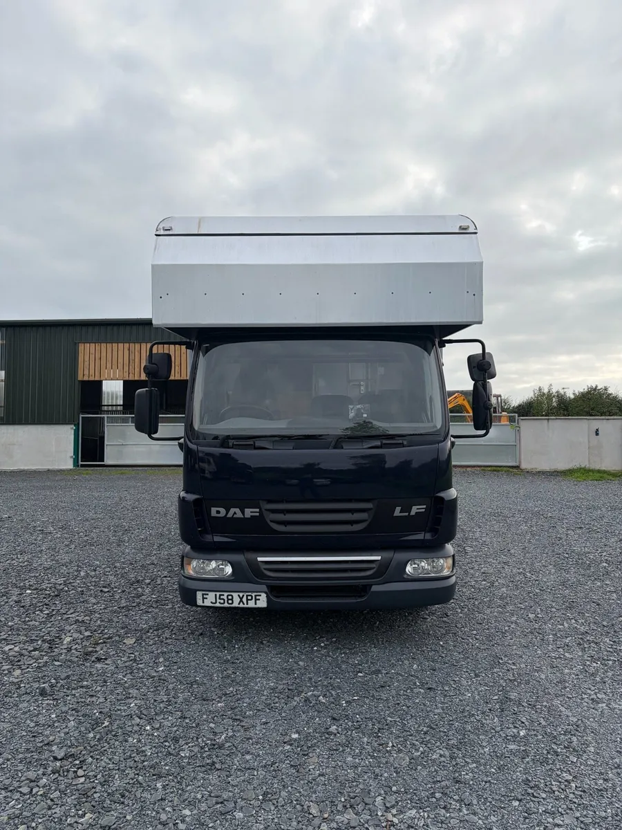 2008 Daf Horsebox - Image 2