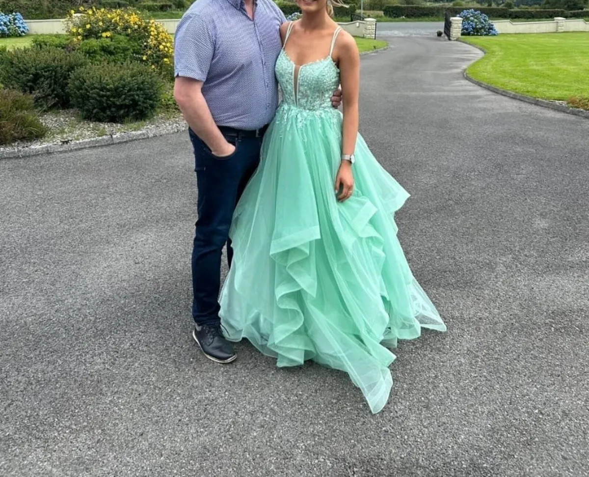 Debs/Prom Dress - Image 4