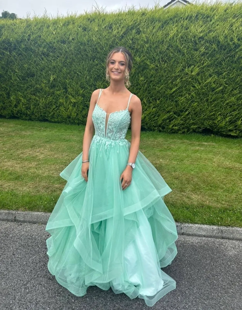 Debs/Prom Dress - Image 1