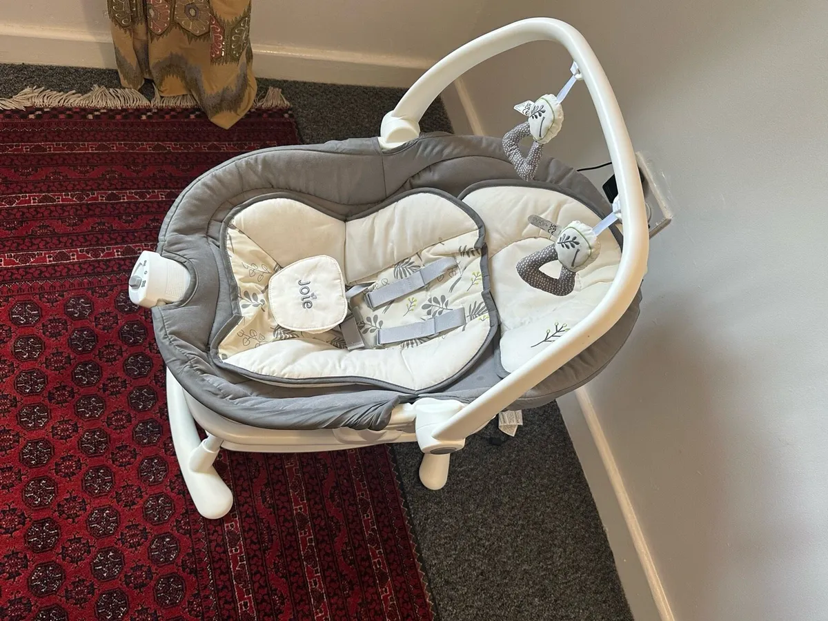 Joie 2 -1 baby Swing and Rocker Fern - Image 4