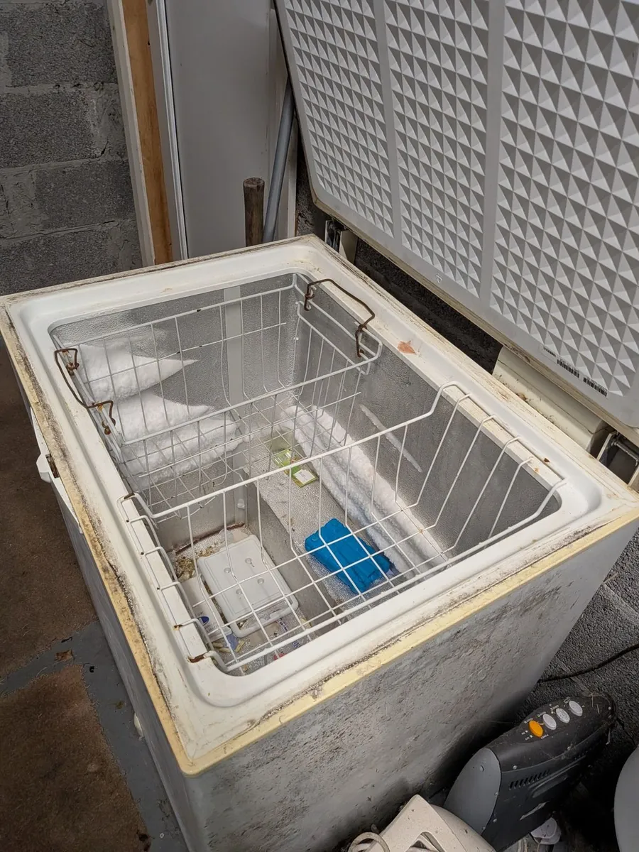 Freezer - Image 1