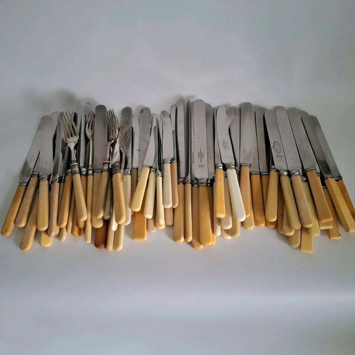 Vintage Faux Bone Handle Cutlery - Image 1