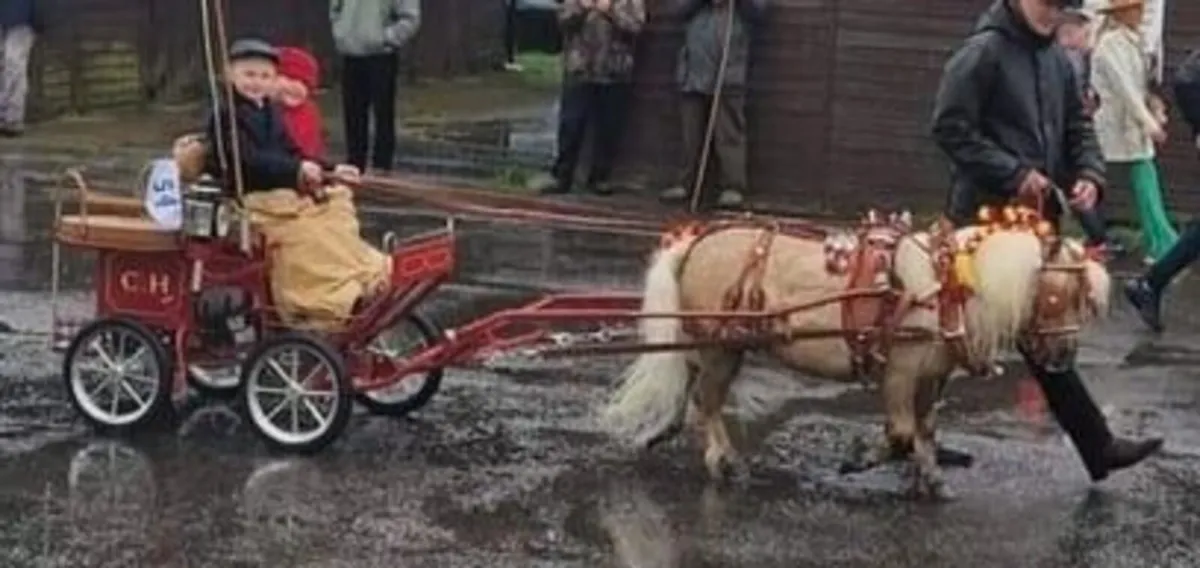 Mini Horse driving Carriage / Trap / Gig