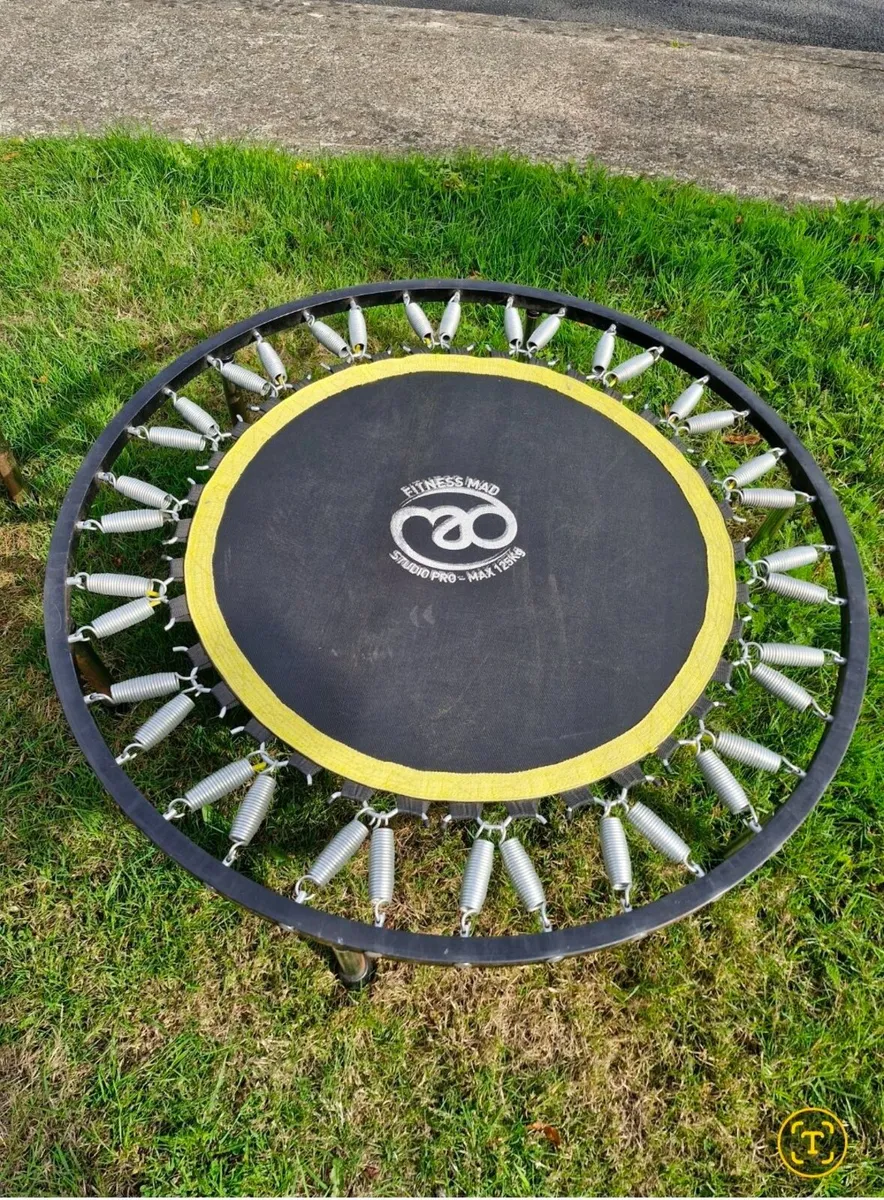 Fitness Trampoline - Image 2