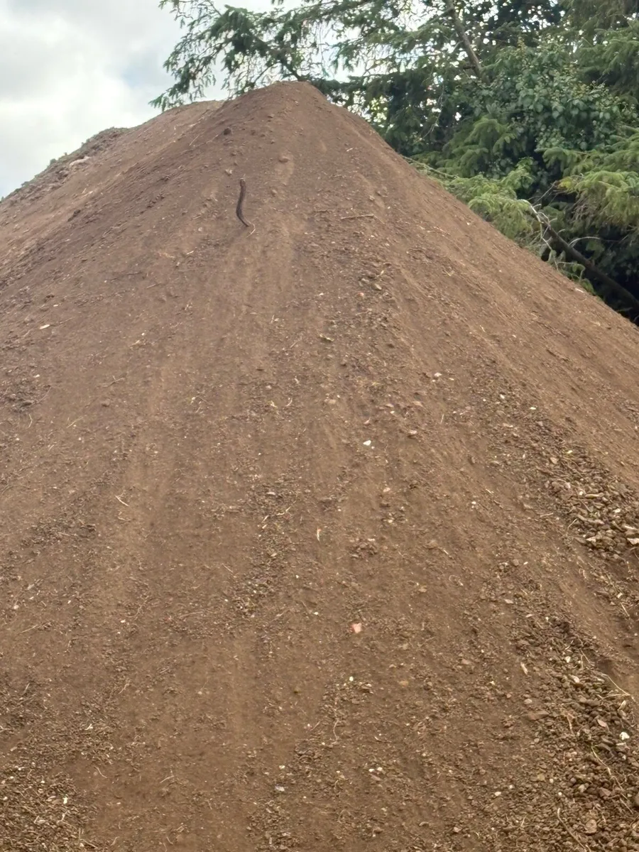 Screened topsoil - Image 2