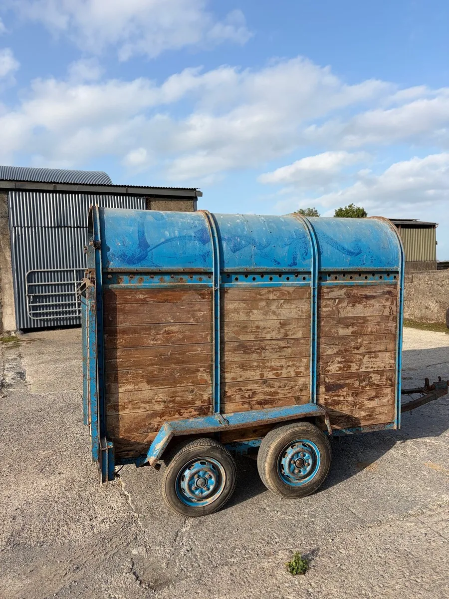 Dooley cattle box - Image 2