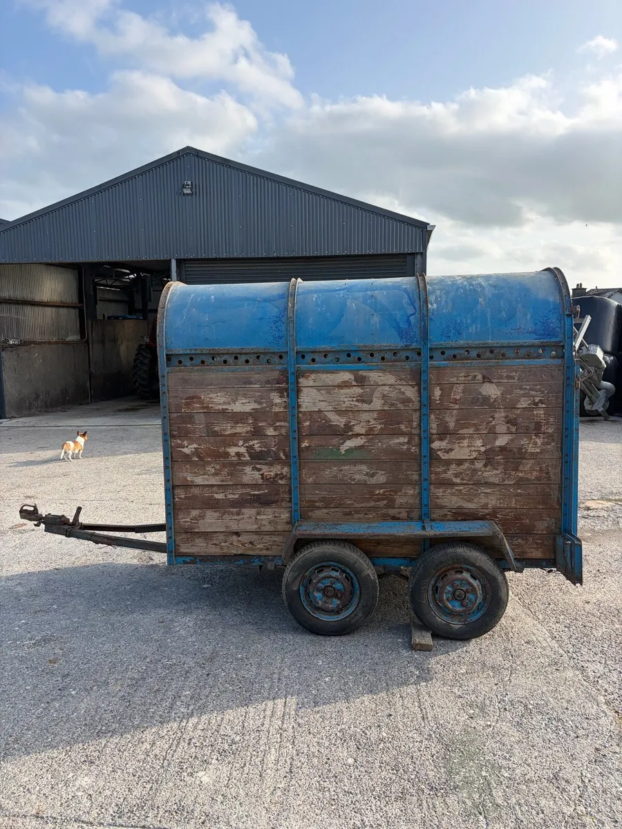 Dooley cattle box - Image 1
