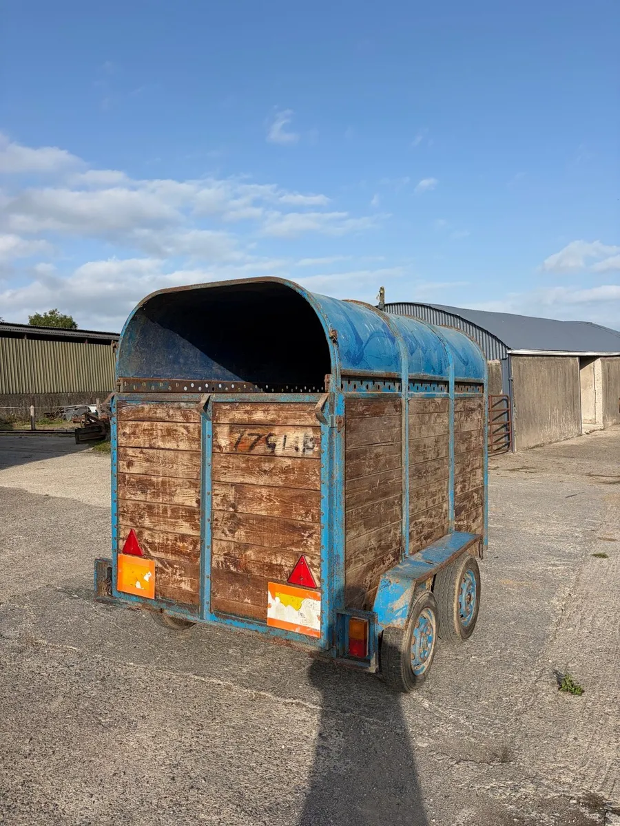 Dooley cattle box - Image 3