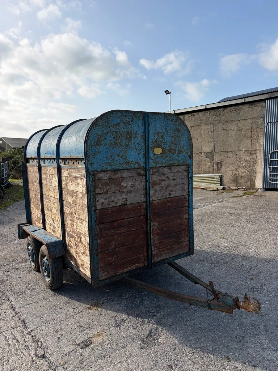Dooley cattle box - Image 4