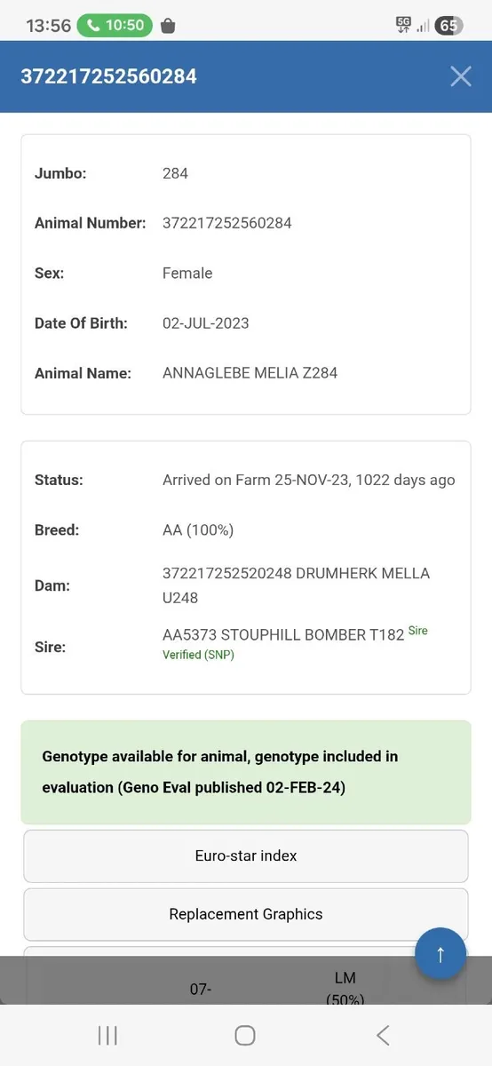 COW - Image 1