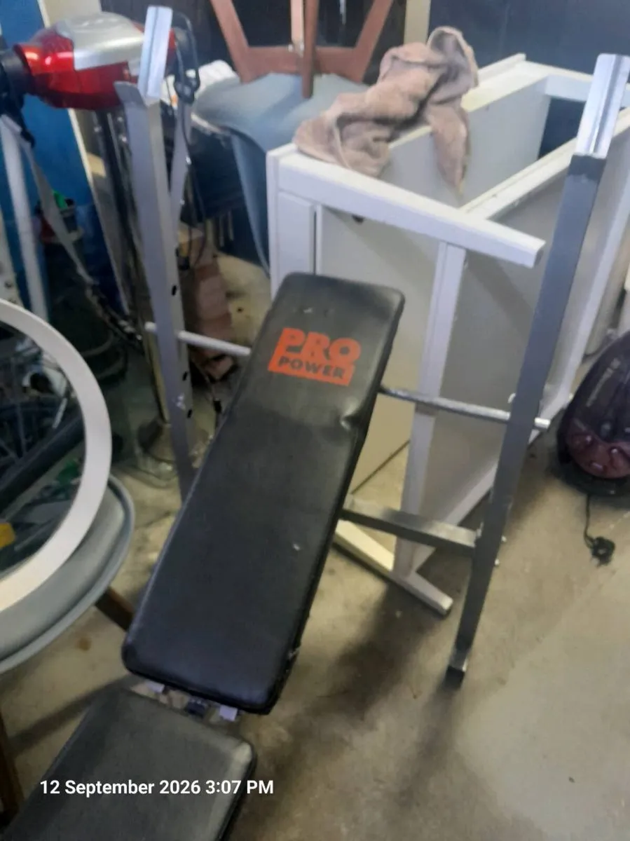 Weight Training Bench - Image 2