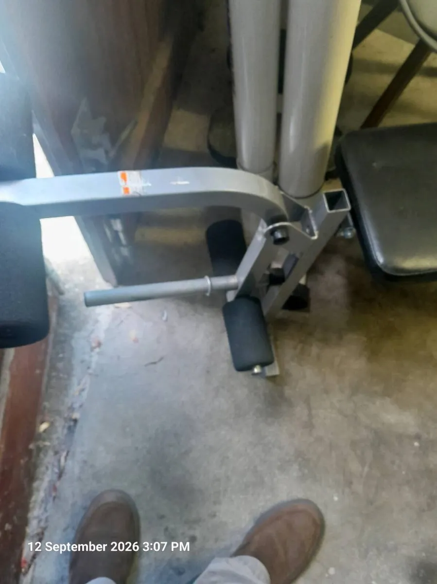 Weight Training Bench - Image 3