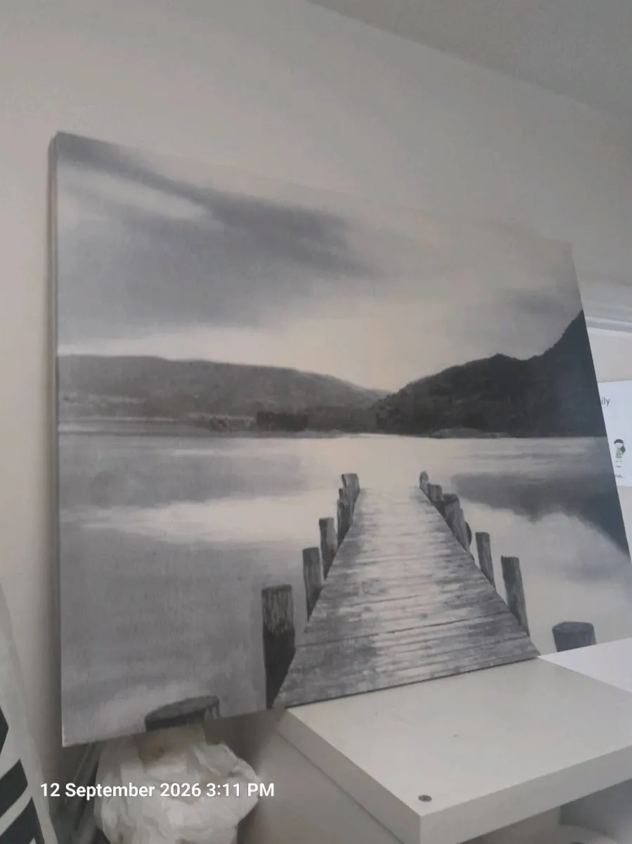 BLACK AND WHITE PICTURE - Image 1