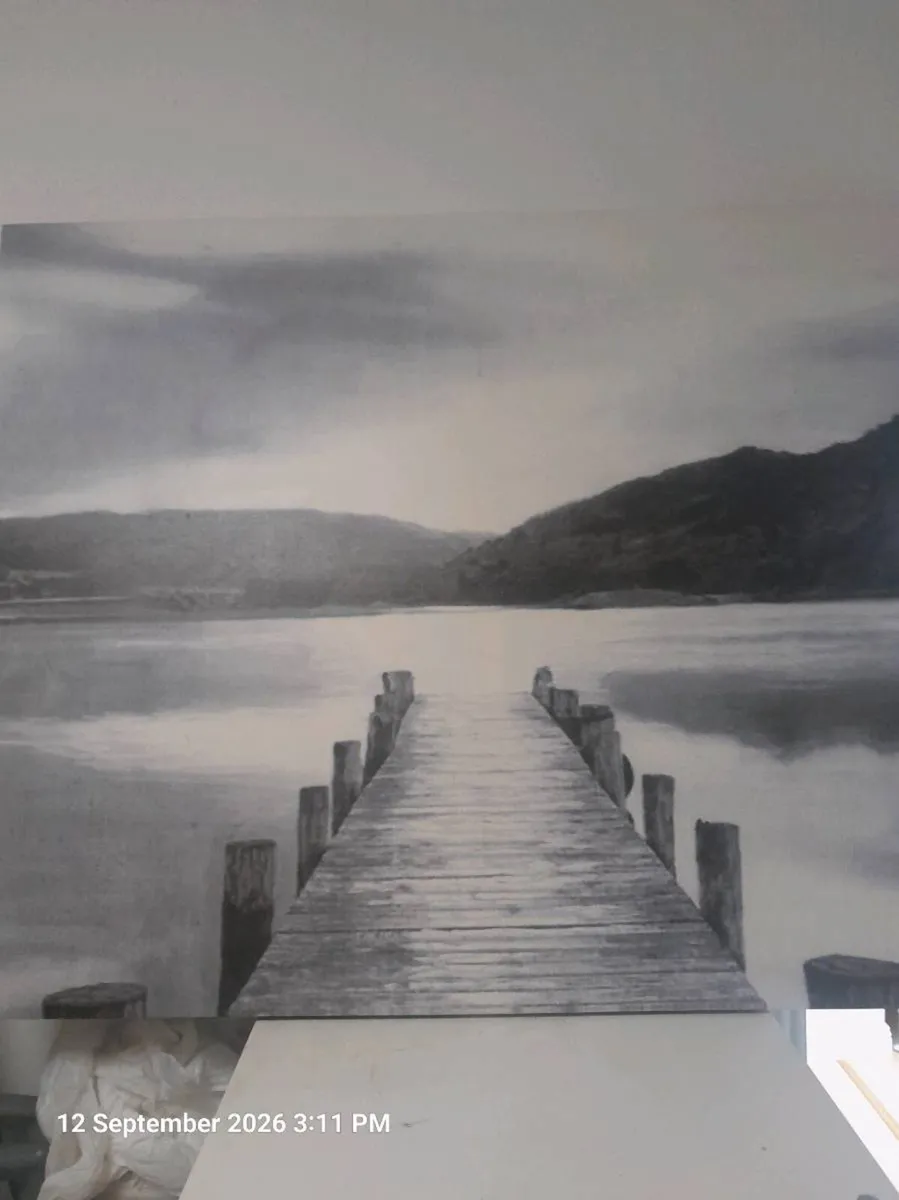 BLACK AND WHITE PICTURE - Image 2