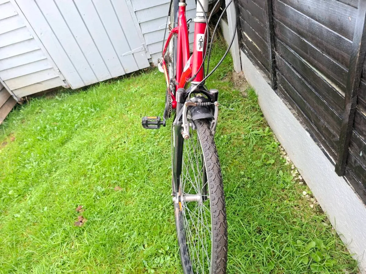 Bike - Image 3