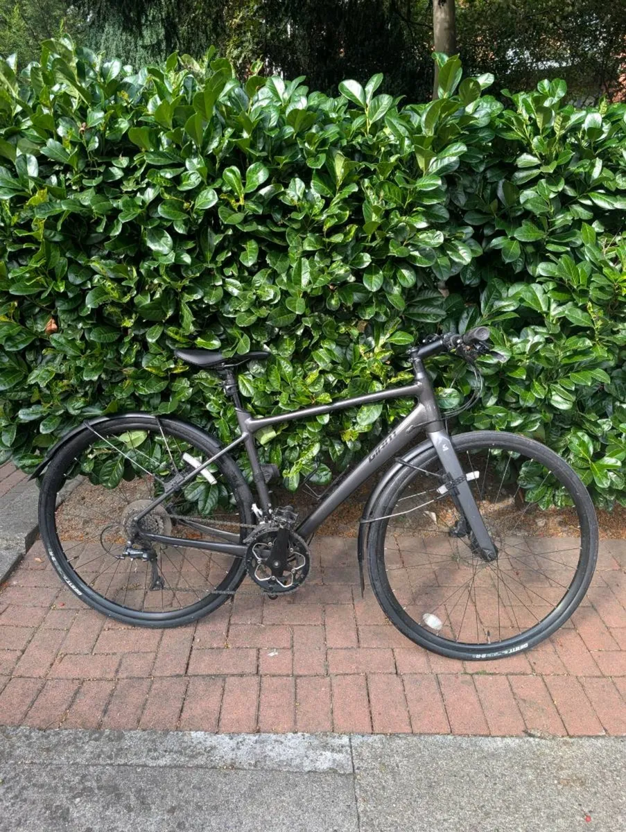 Giant Escape Hybrid Bike - Image 1