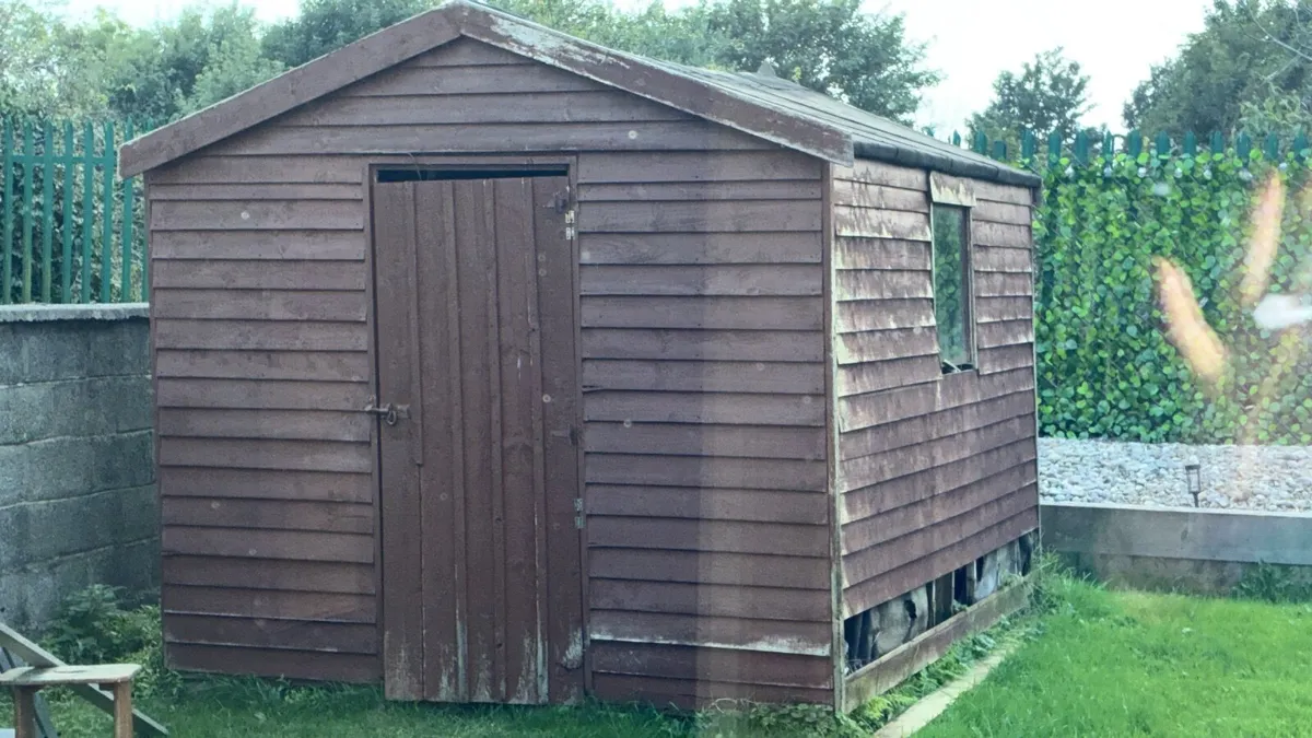Shed free - Image 1