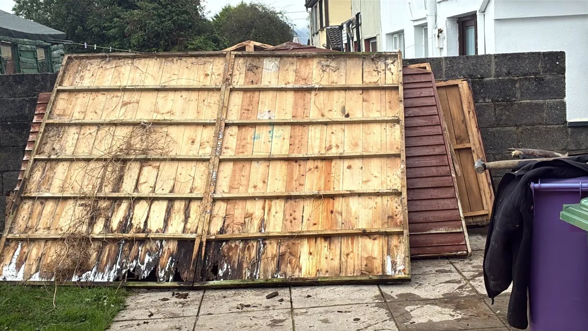 Shed free - Image 4