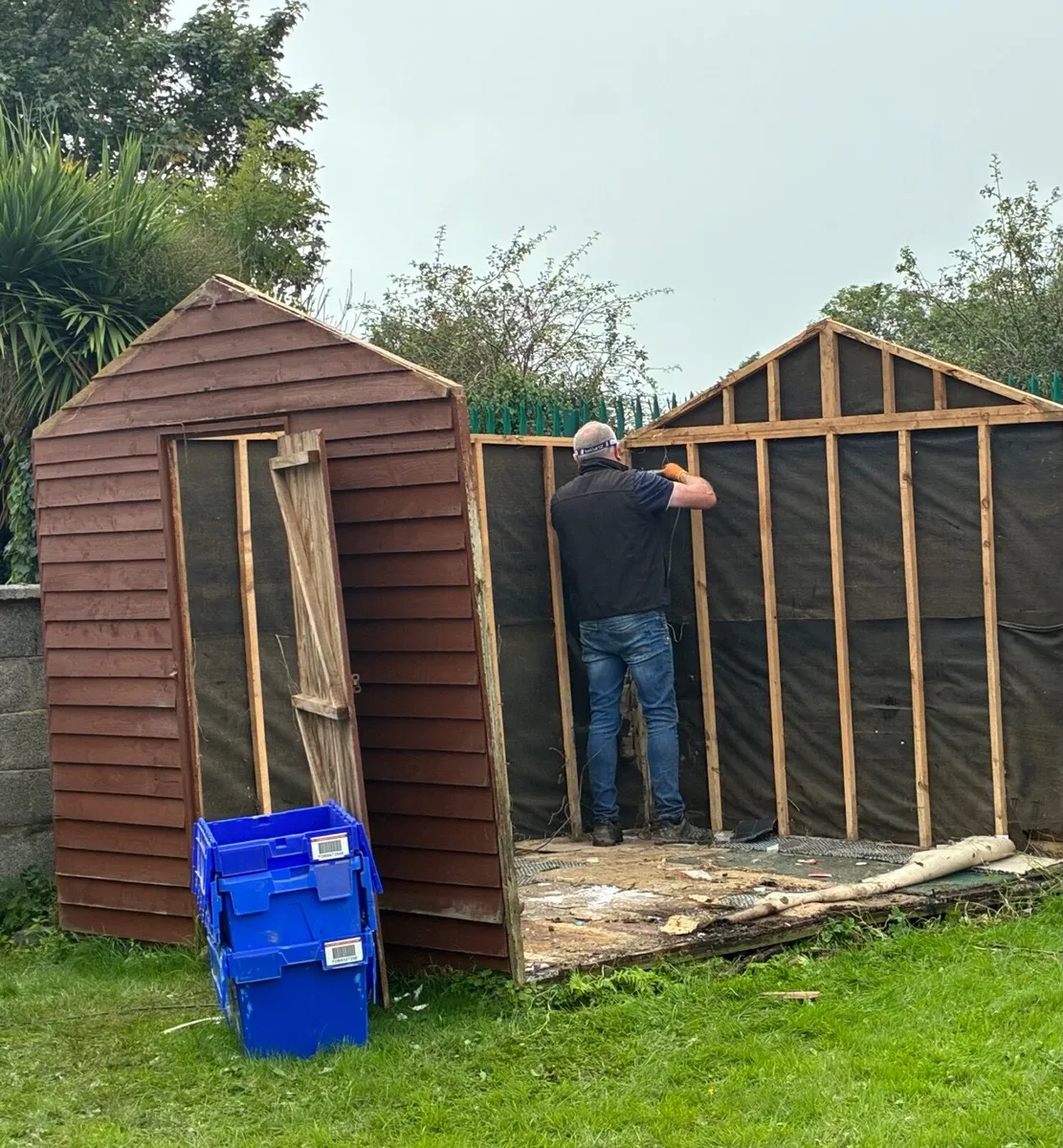 Shed free - Image 3