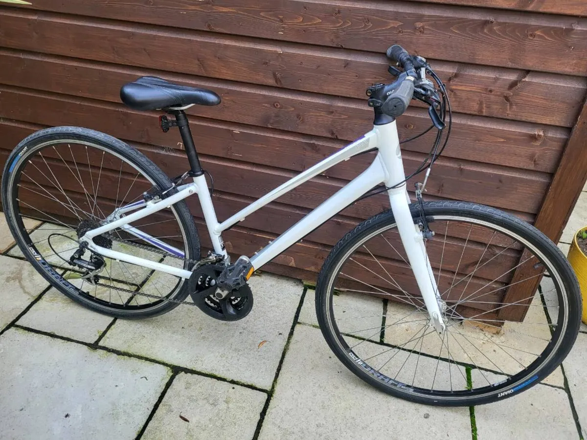 Giant Escape Ladies Bike - Image 1