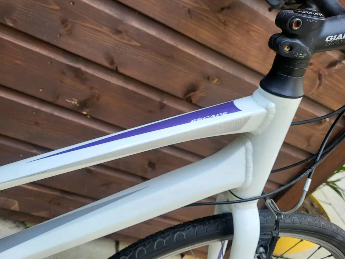 Giant Escape Ladies Bike - Image 3