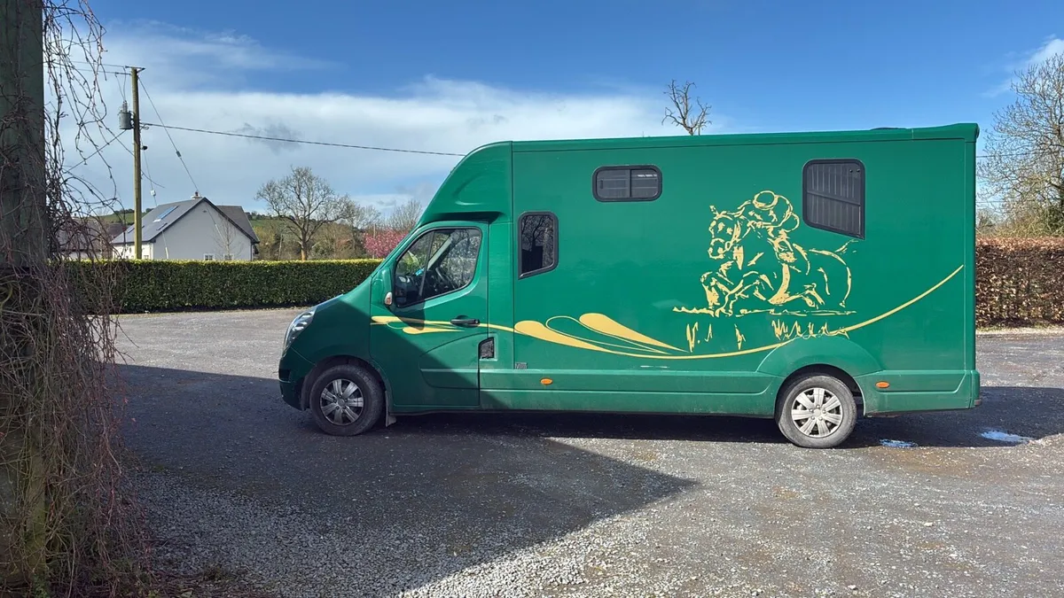 Horse box - Image 3