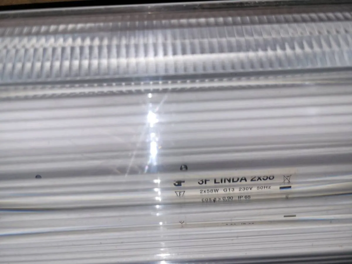 Florescent lights - Image 4