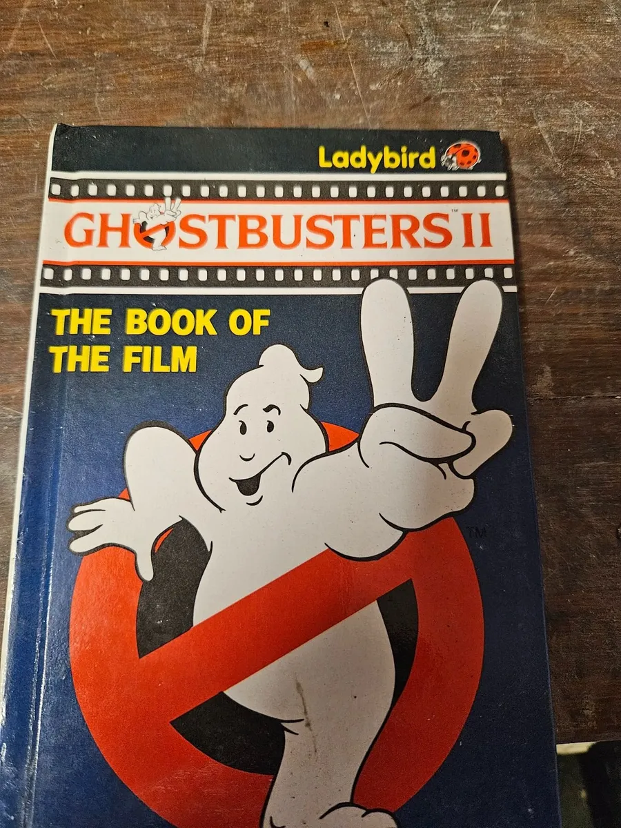 Lady Bird Ghostbusters Book - Image 2