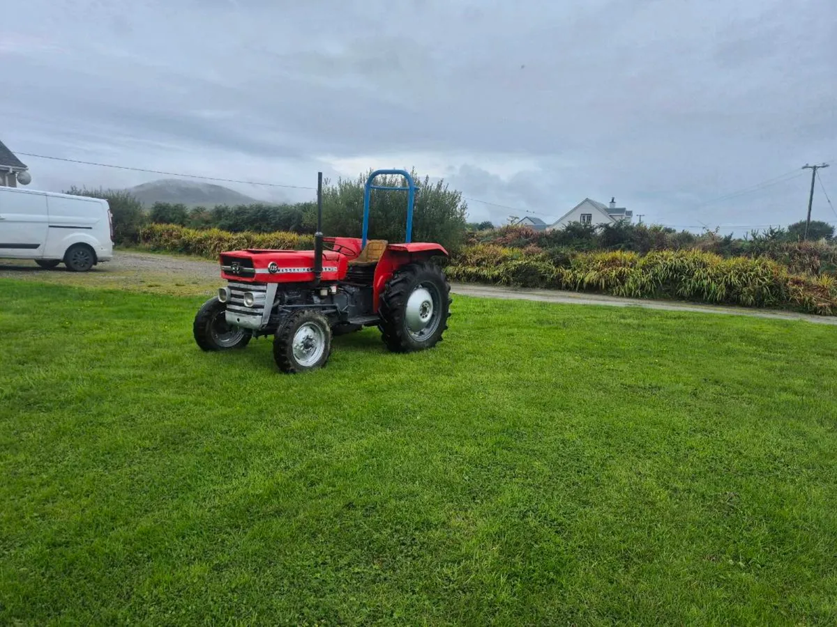 Massey ferguson 135 - Image 2