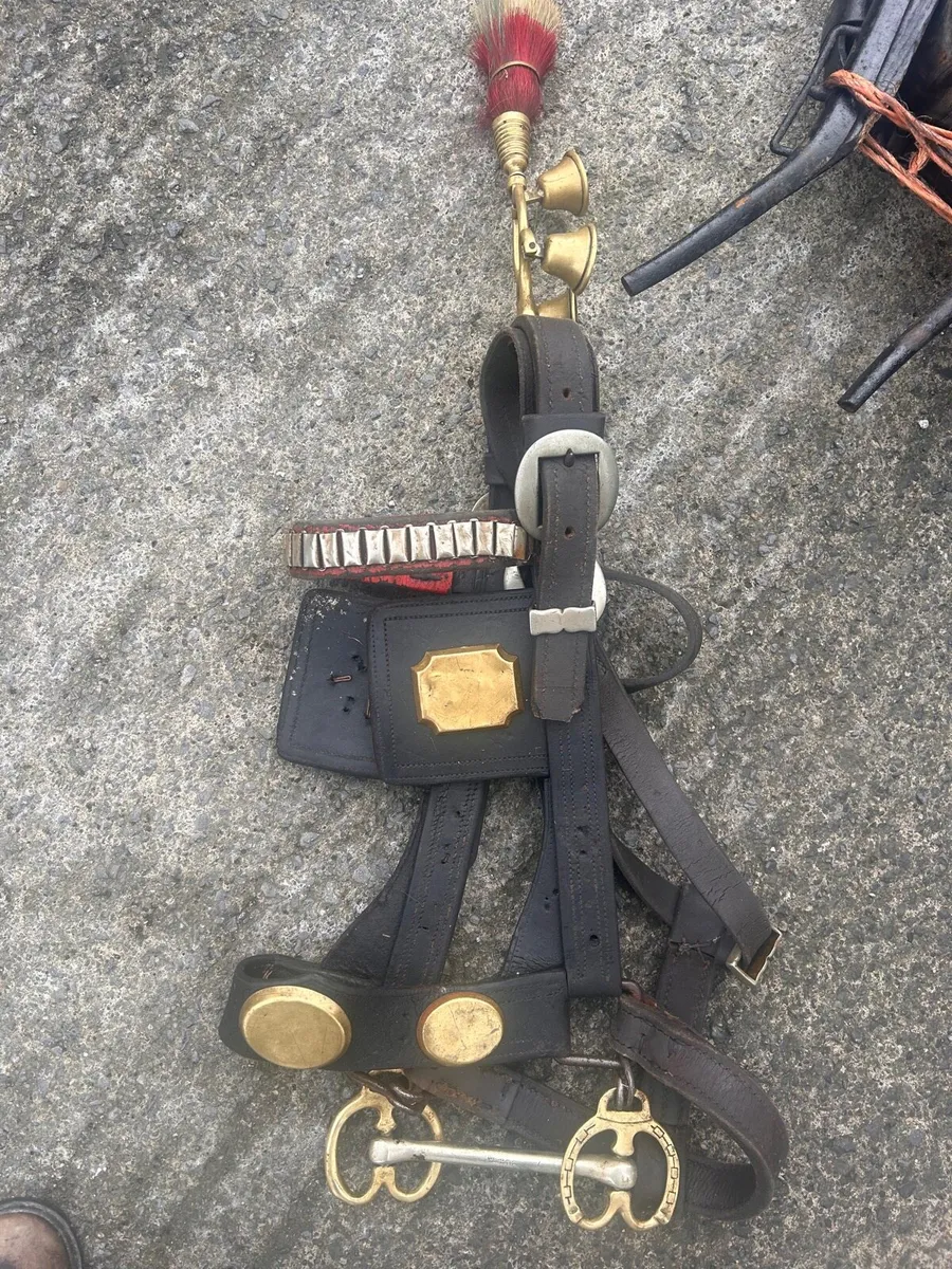 ⭐️ Donkey harness for sale ⭐️ - Image 1