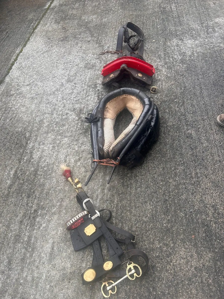 ⭐️ Donkey harness for sale ⭐️ - Image 2