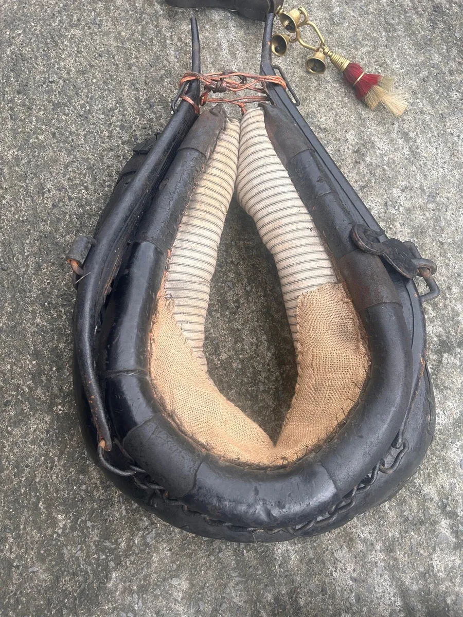 ⭐️ Donkey harness for sale ⭐️ - Image 3