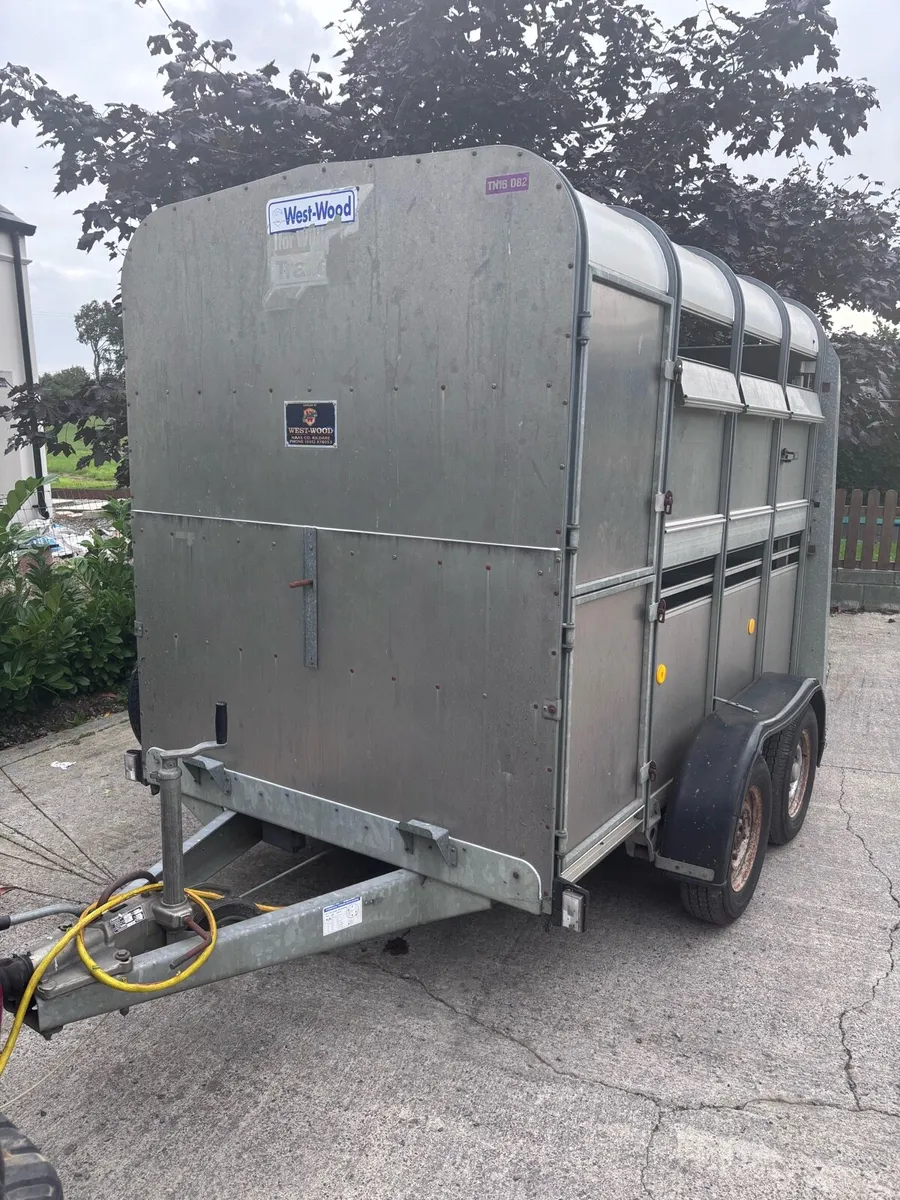 Cattle Box - Image 2