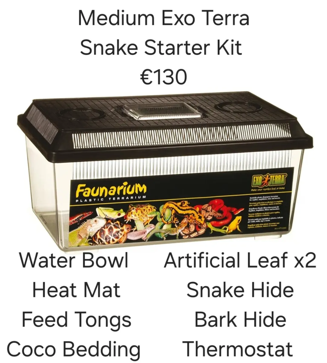 Medium Snake Exo Terra Starter Kit - Image 1