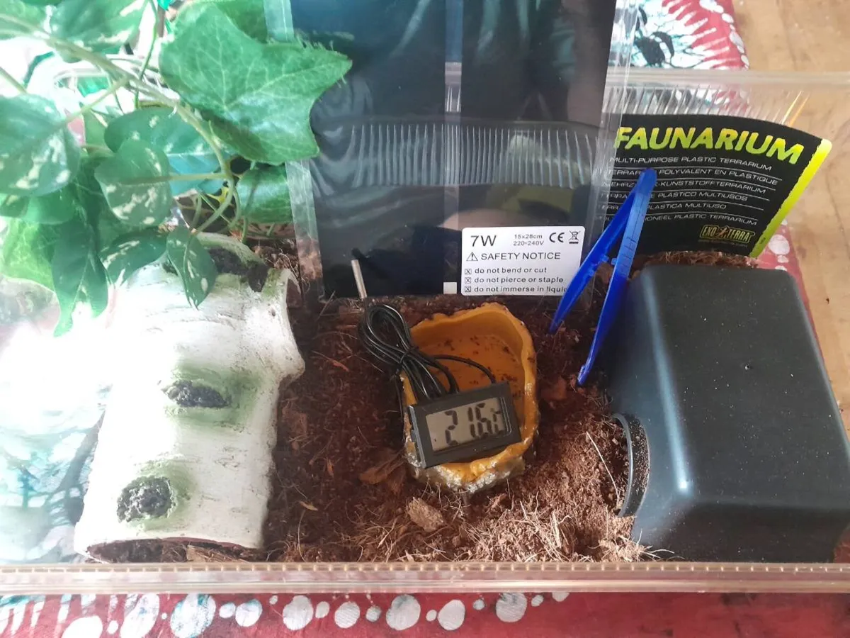 Medium Snake Exo Terra Starter Kit - Image 2