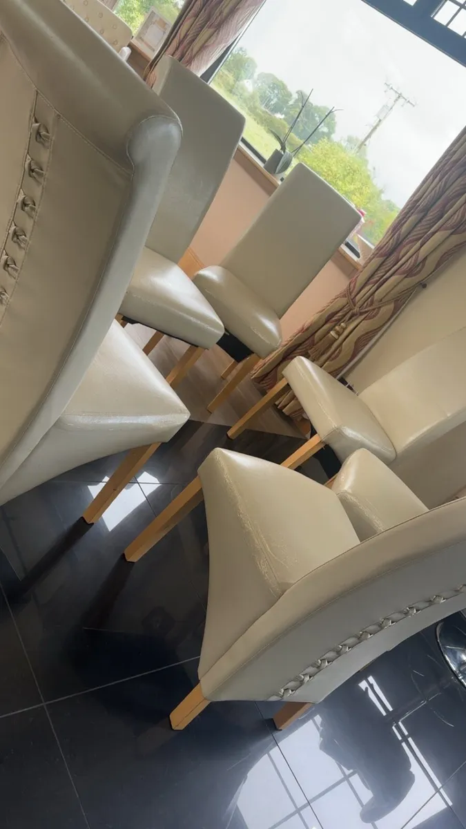 Dining Chairs & Reclining Couch/Chair - Image 1