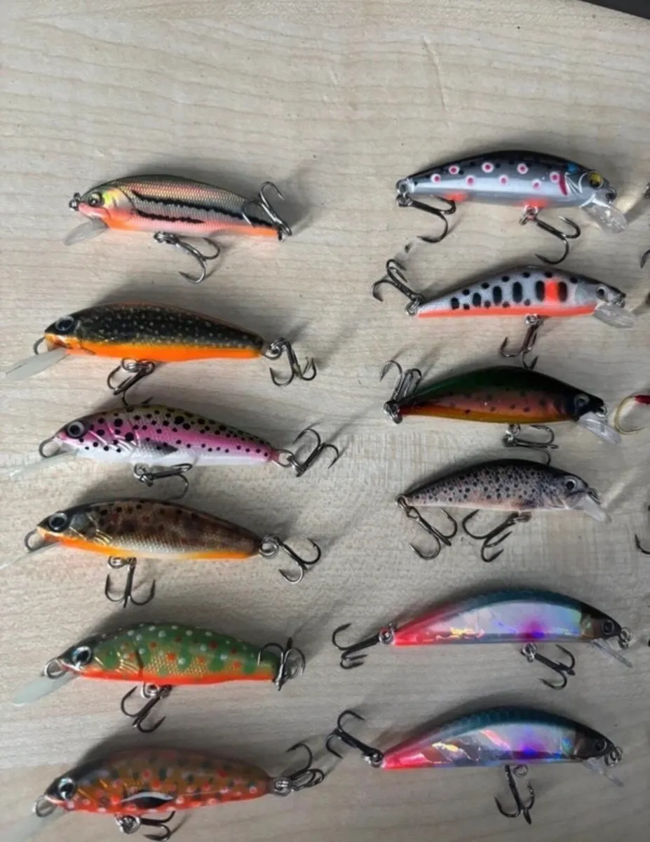 Trout lures - Image 2