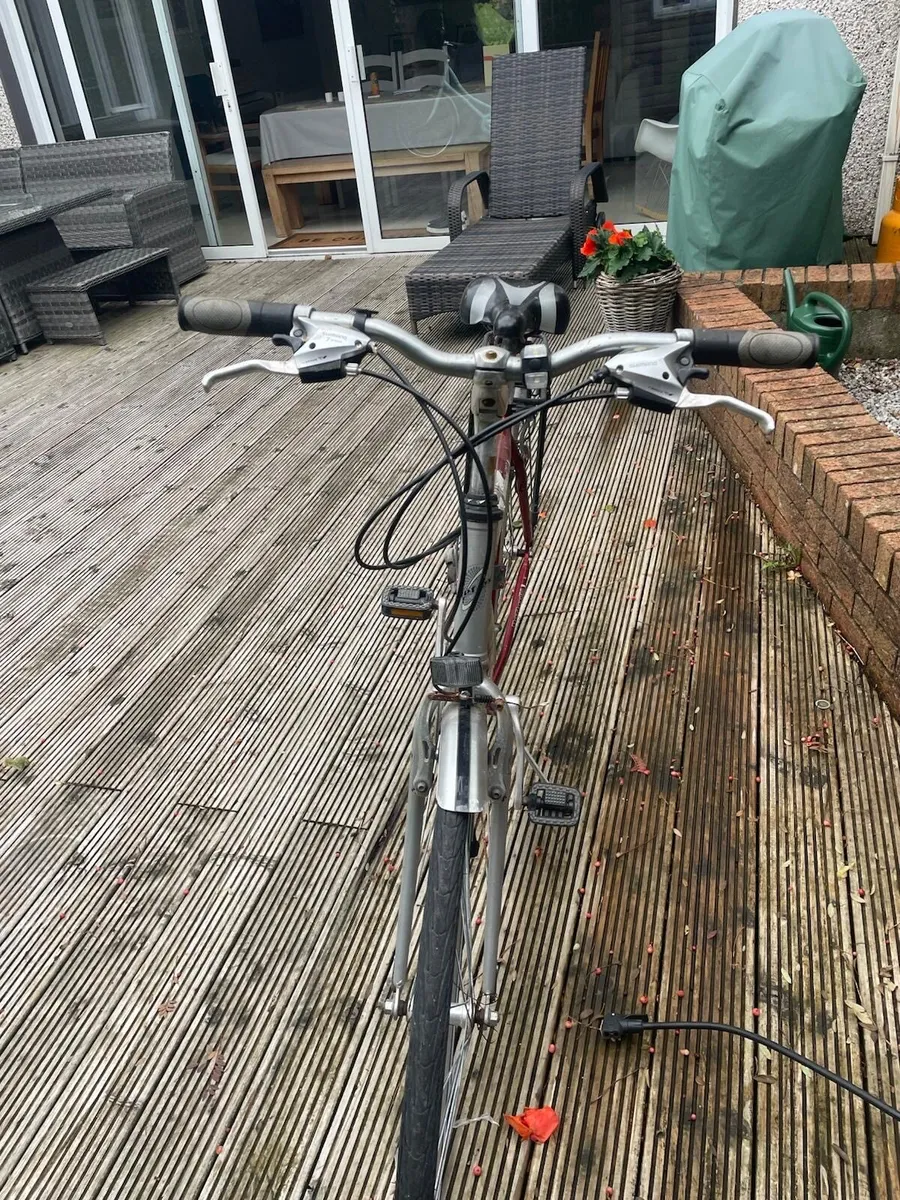 Reflex 20 Speed Push Bike - Image 2