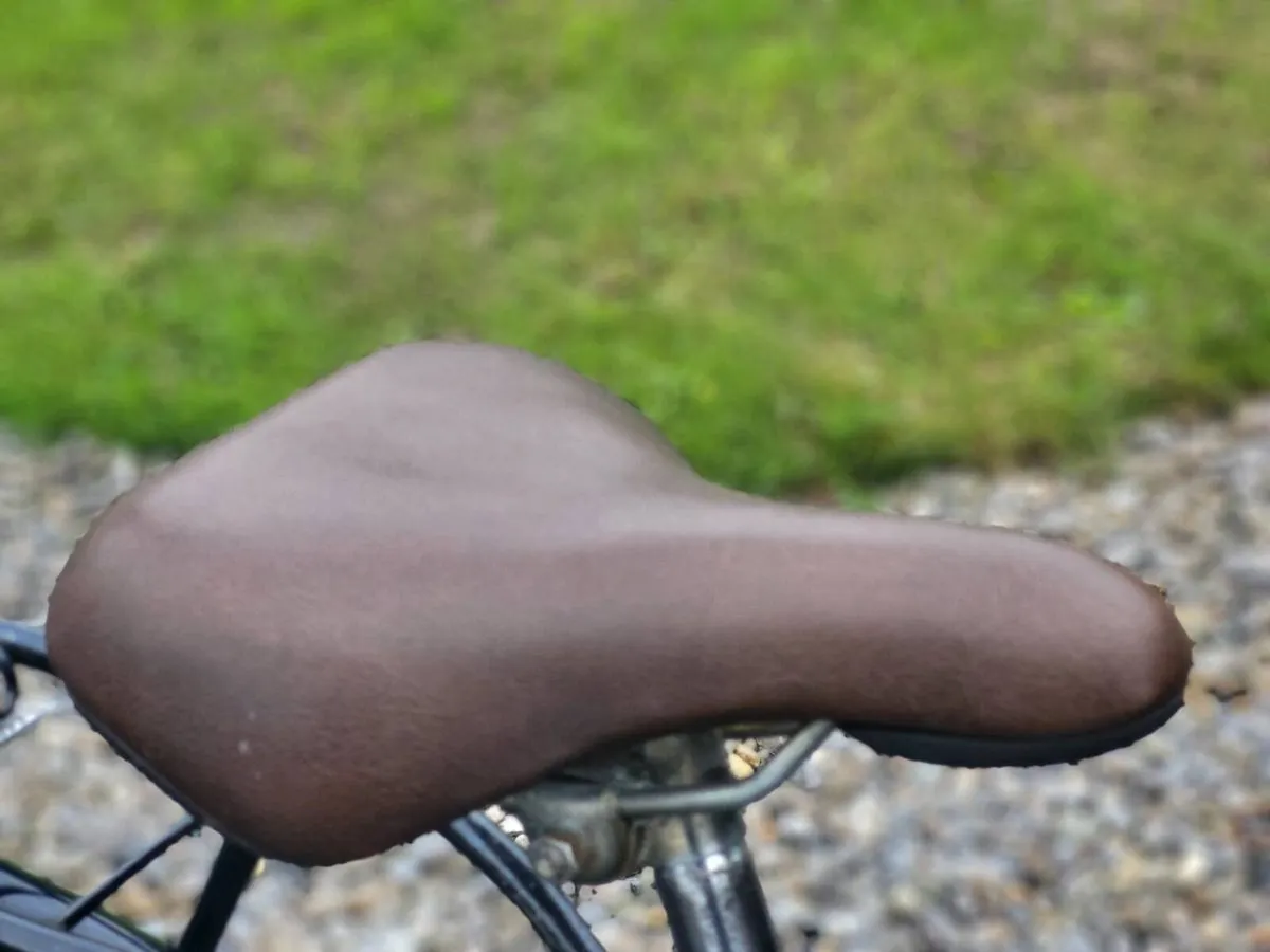 LADIES BIKE N BASKET - Image 2