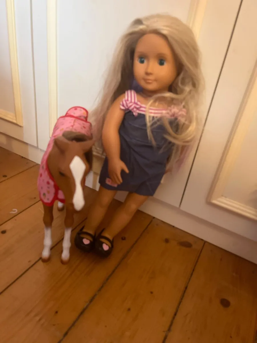 Our generation doll with foal