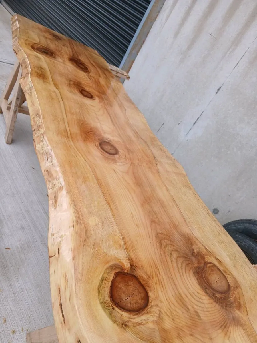 Live edge rustic monkey puzzle table slabs house - Image 2